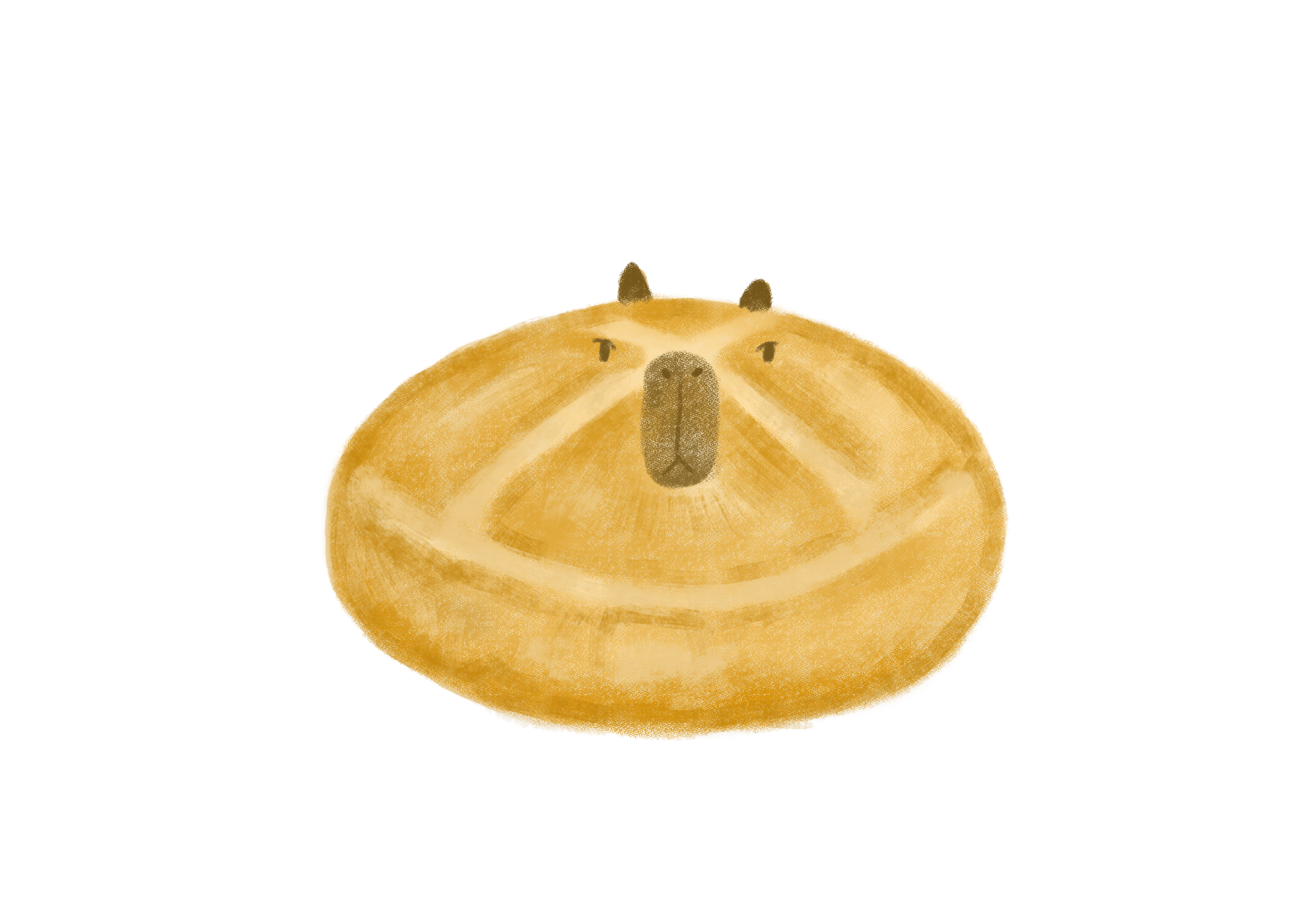 1701680432_e01b0f8c91e721e9c8d0.png