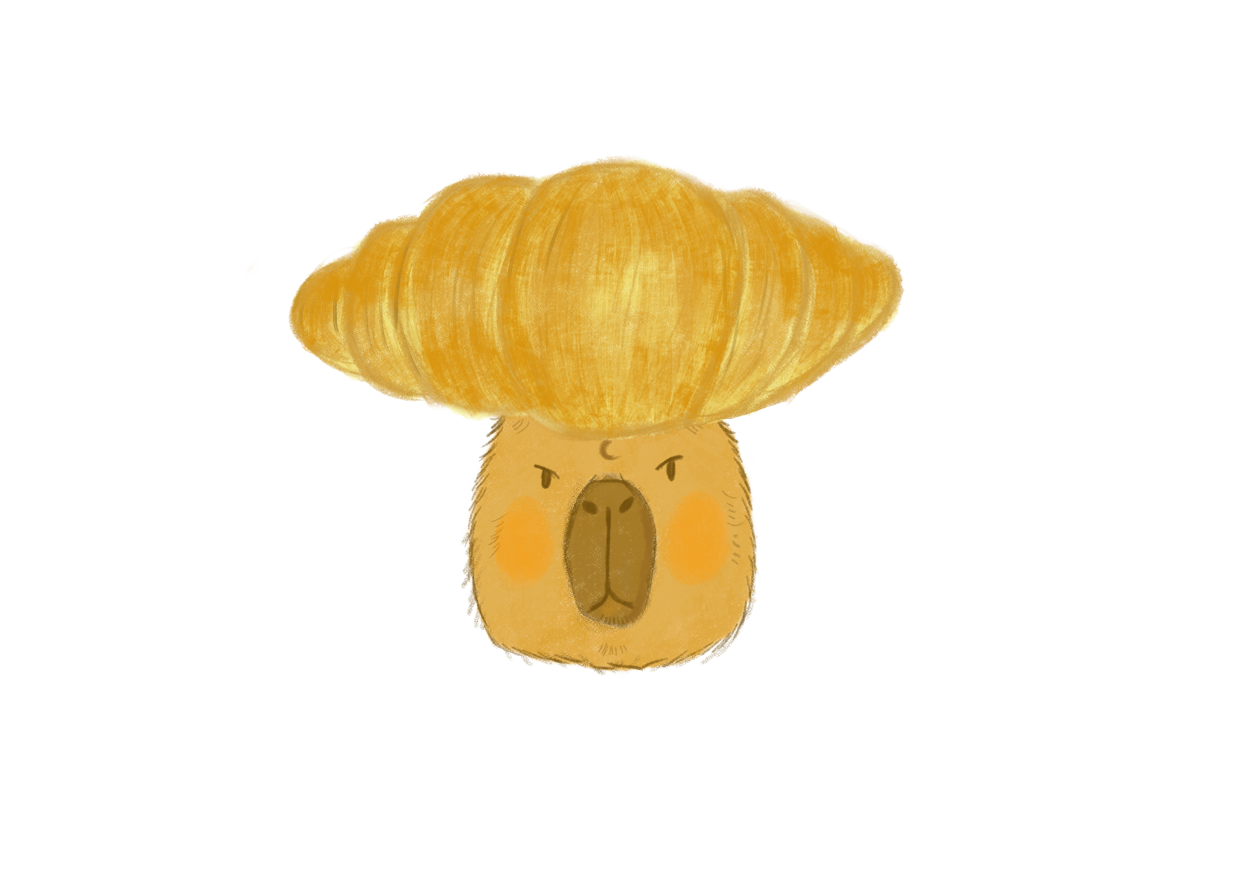 1701680545_36ca8b111573f8809971.png